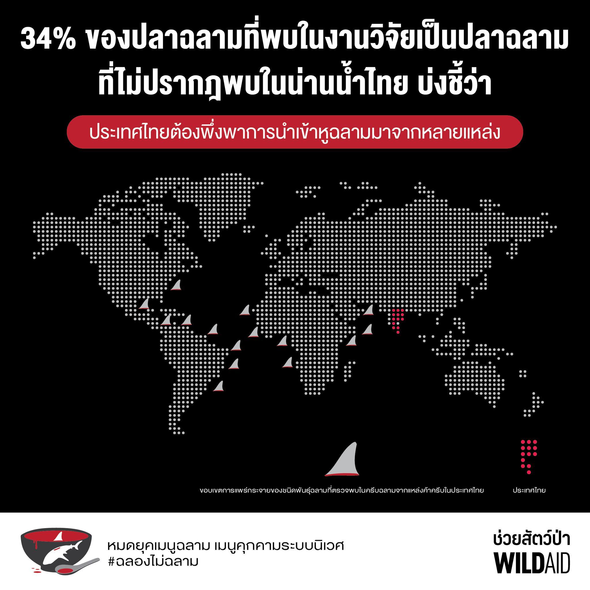 Shark fin - WildAid - 003