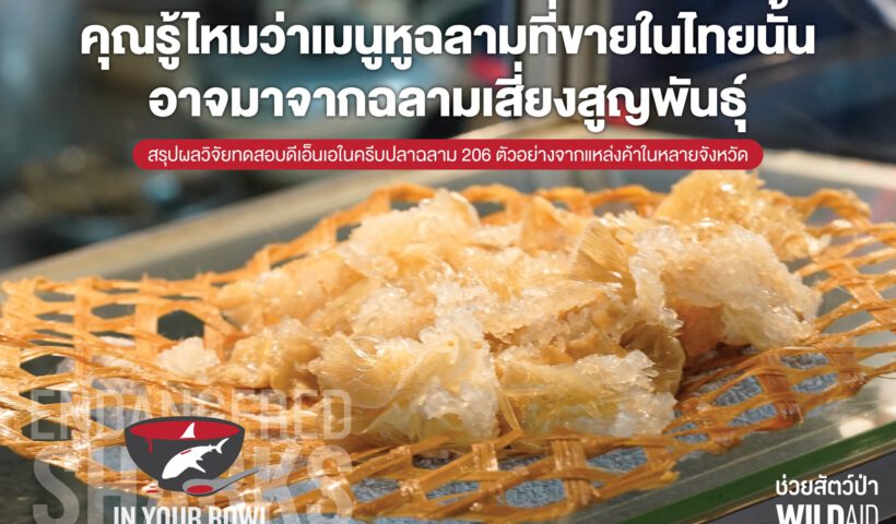 Shark fin - WildAid - cover - 001