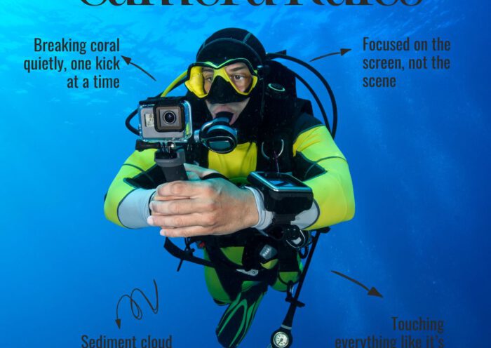 Thailand camera rules - The Shark Diving - 680812