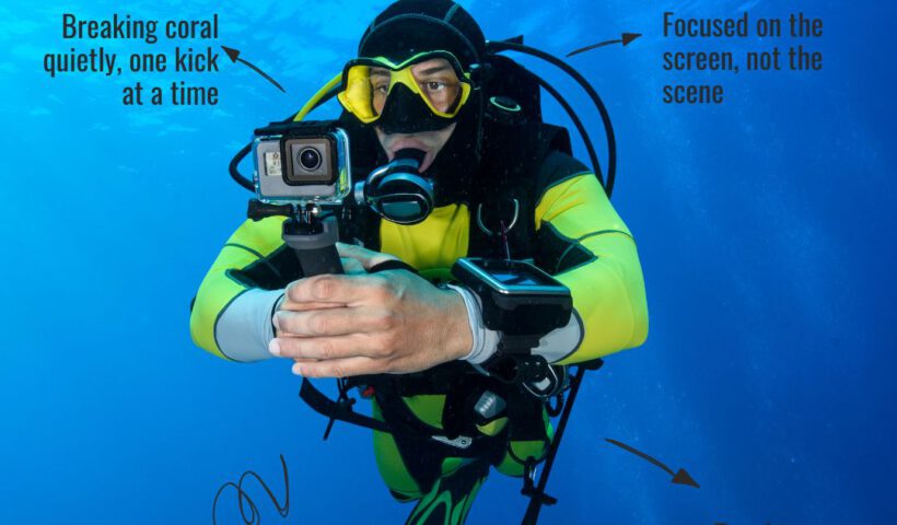 Thailand camera rules - The Shark Diving - 680812