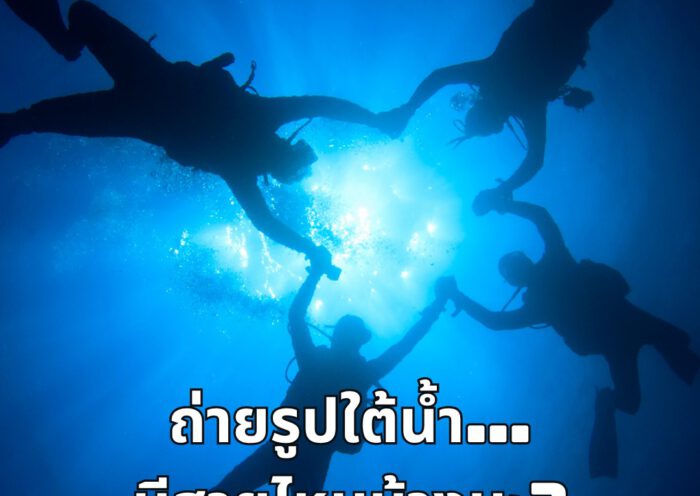 Underwater Photography - Tecrew - 680725